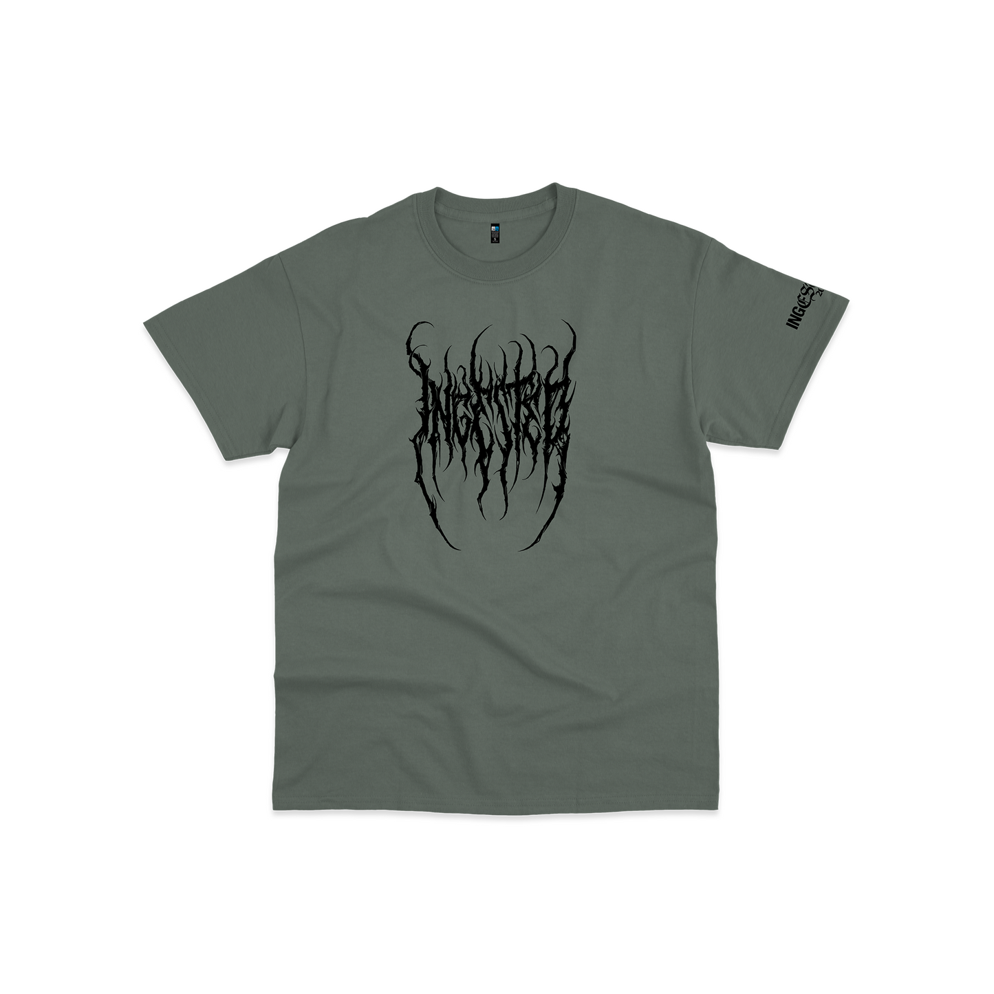Ingested Oversized Logo Tee in Ash Green