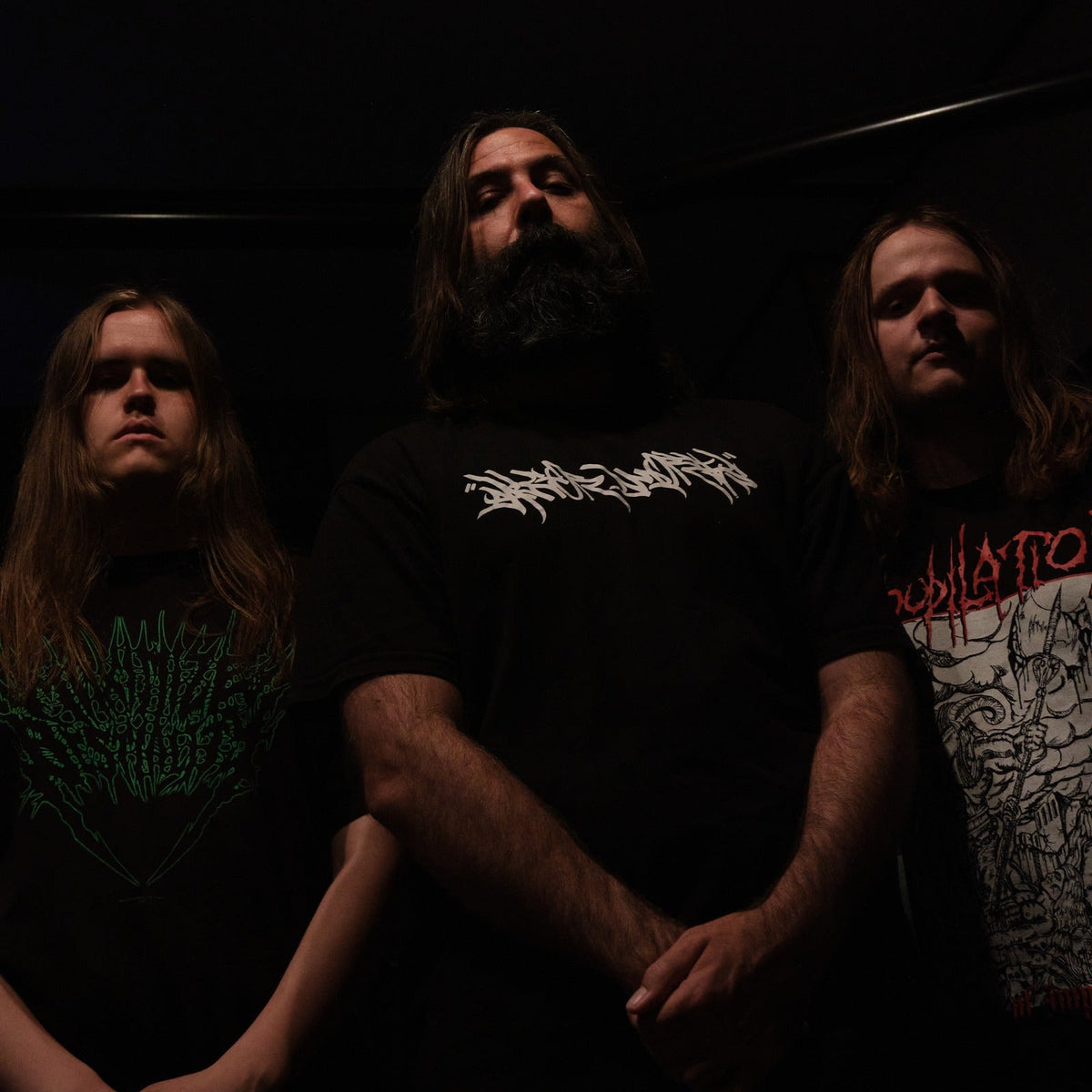 WAKING THE CADAVER
